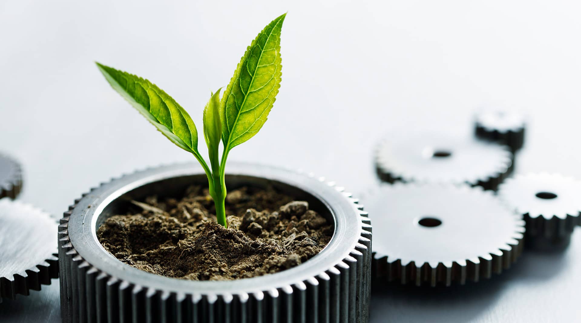 Protection de l'environnement chez SAXOPRINT